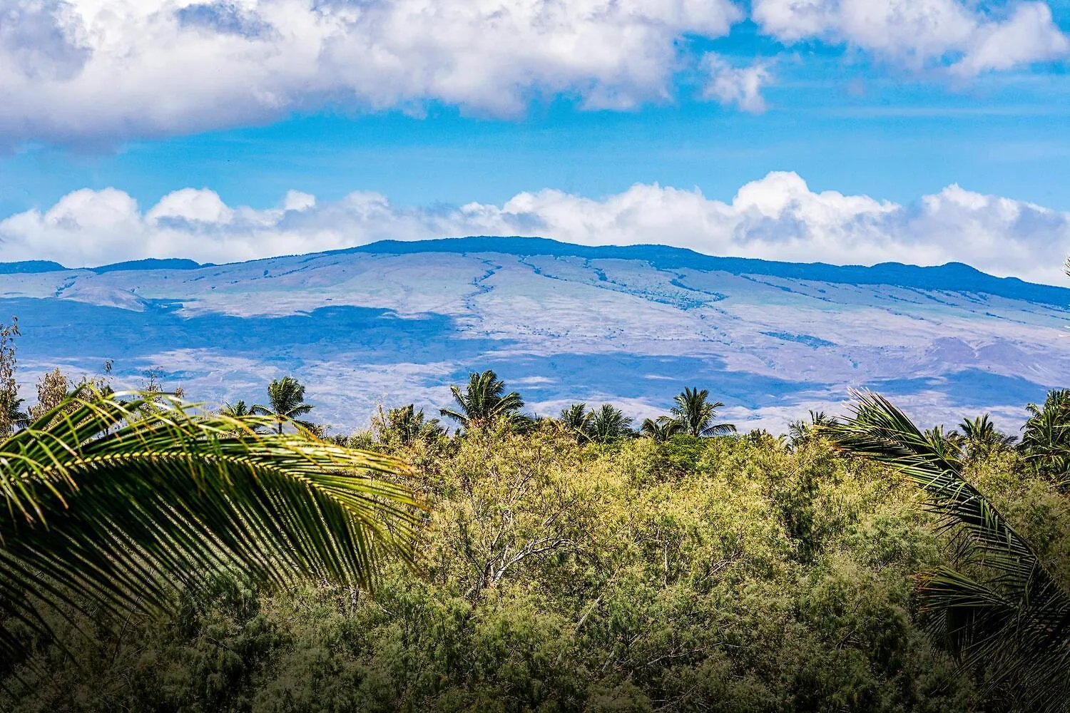 Fairway Villas Waikoloa A31